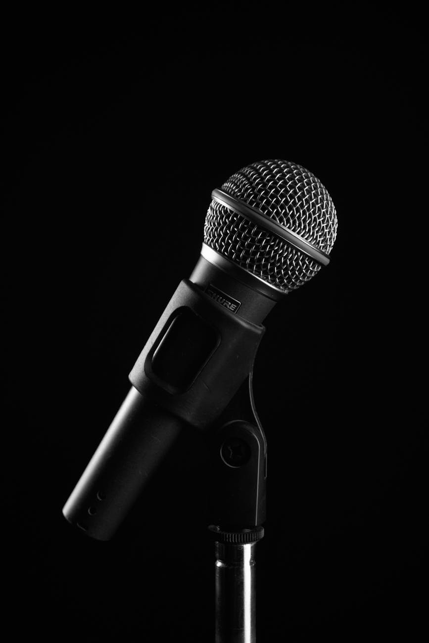 microphone in black and white
